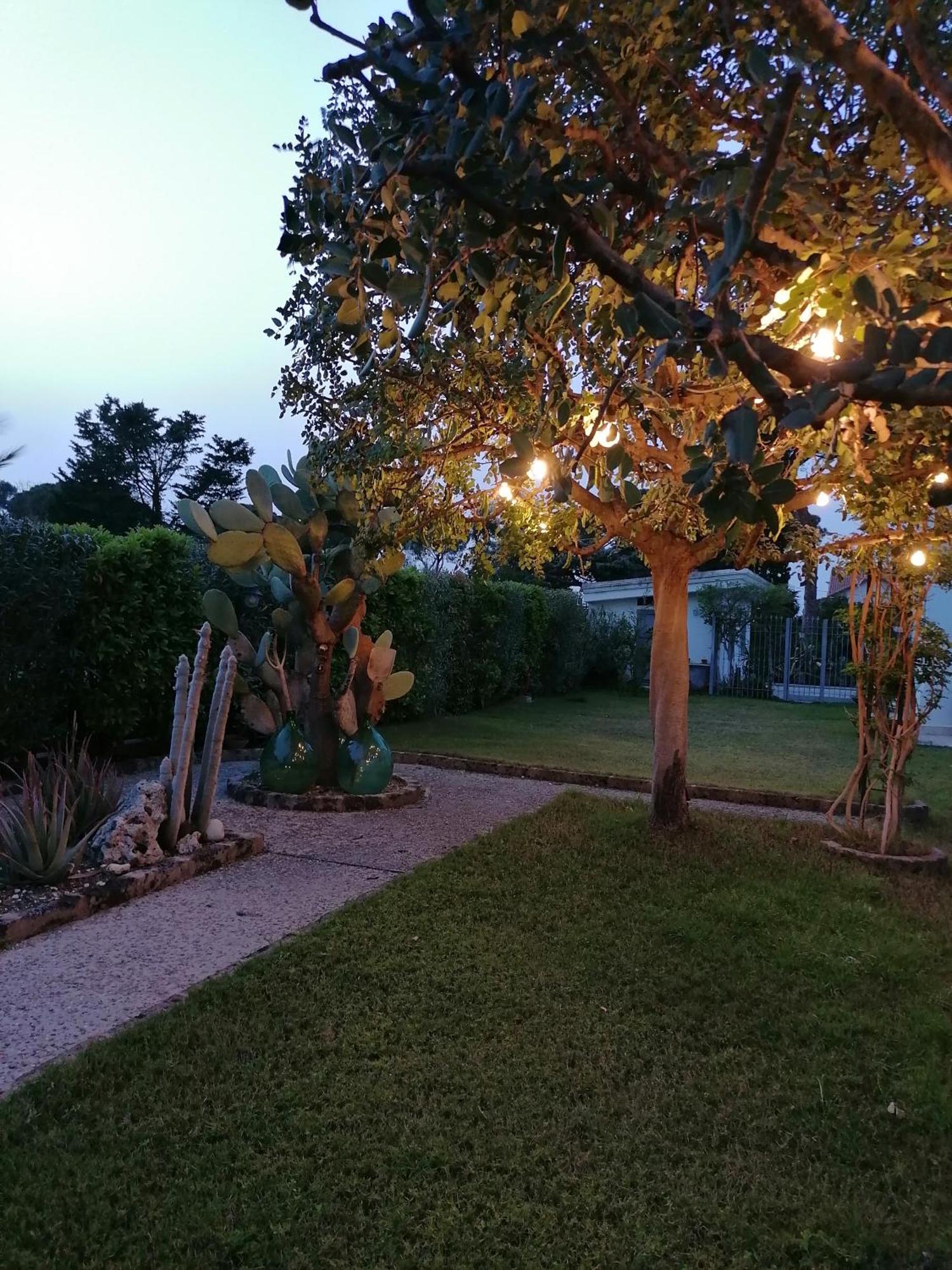ホテル Il Giardino Del Te バルレッタ エクステリア 写真