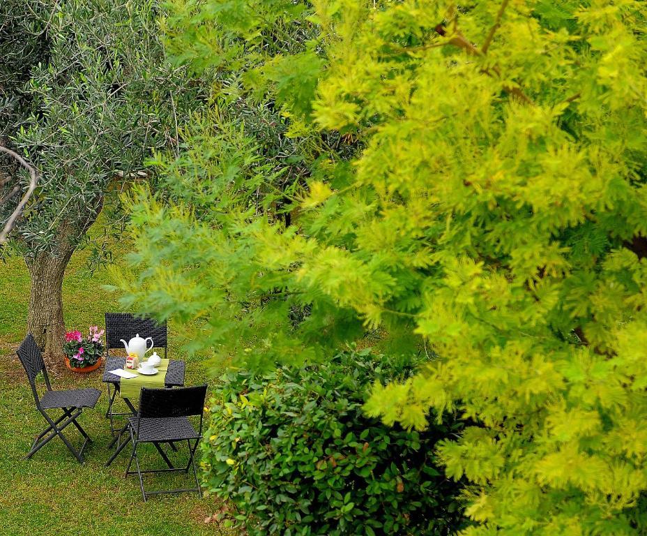 ホテル Il Giardino Del Te バルレッタ エクステリア 写真