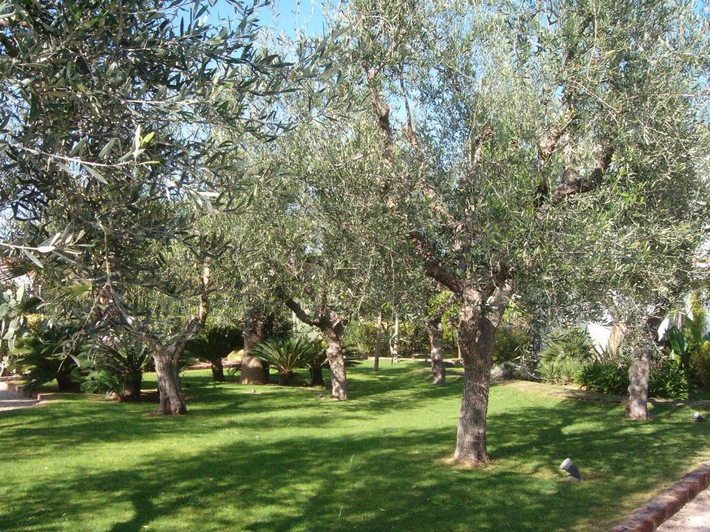 ホテル Il Giardino Del Te バルレッタ エクステリア 写真
