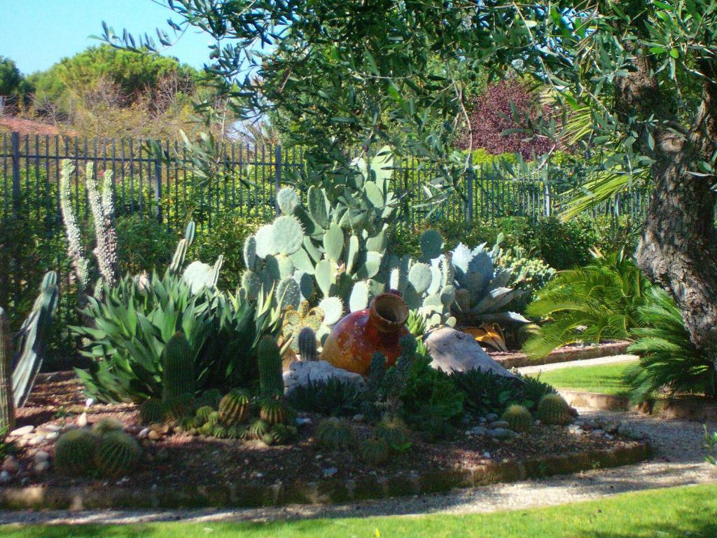 ホテル Il Giardino Del Te バルレッタ エクステリア 写真