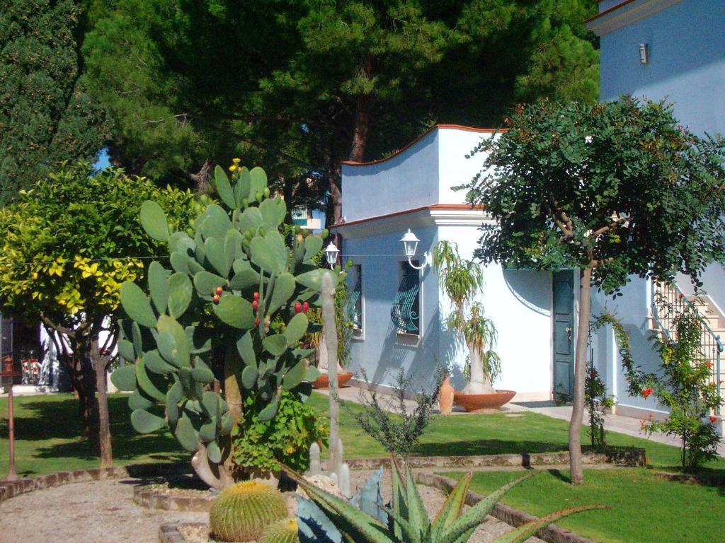 ホテル Il Giardino Del Te バルレッタ エクステリア 写真