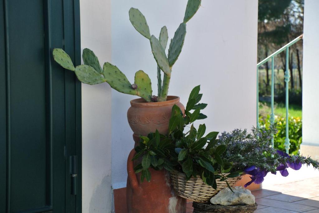 ホテル Il Giardino Del Te バルレッタ 部屋 写真