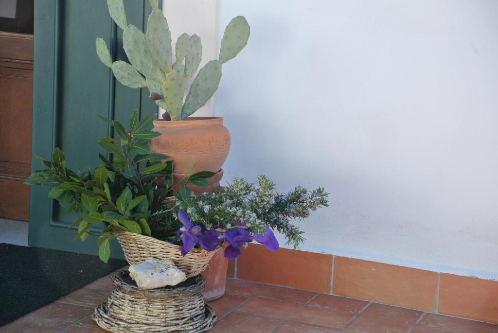ホテル Il Giardino Del Te バルレッタ エクステリア 写真